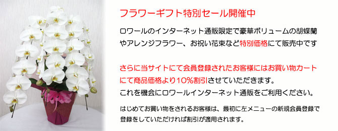 特別セール