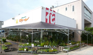 県庁前花店写真