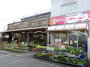 正木花店写真